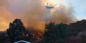 Políticos a cargo de incendios en Los Ángeles son incompetentes: Trump