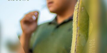 Fernan Molina lanza su nuevo sencillo «Historia de un amor»: Un viaje emocional a través de la música