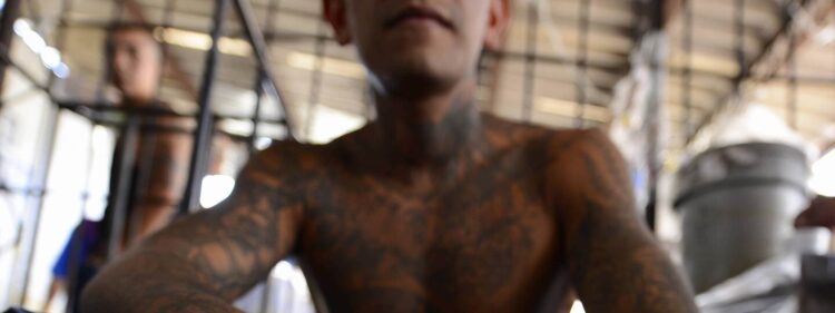 ‘Cacería’ contra cárteles: detienen a líder de la Mara Salvatrucha en EU