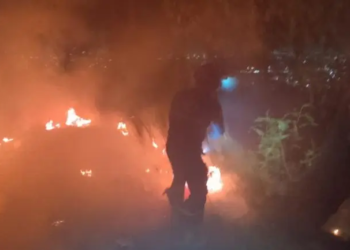 Se incendia el Cerro de la Estrella; bomberos laboran en el sitio