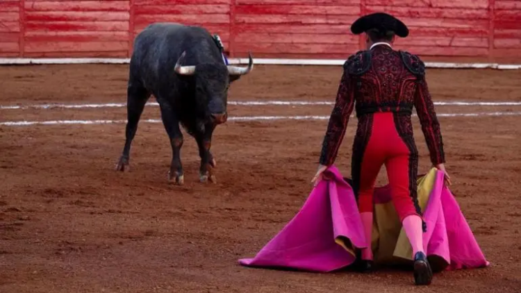 Corridas de toros sin sangre en CDMX: Congreso aprobó iniciativa y Brugada lo celebra