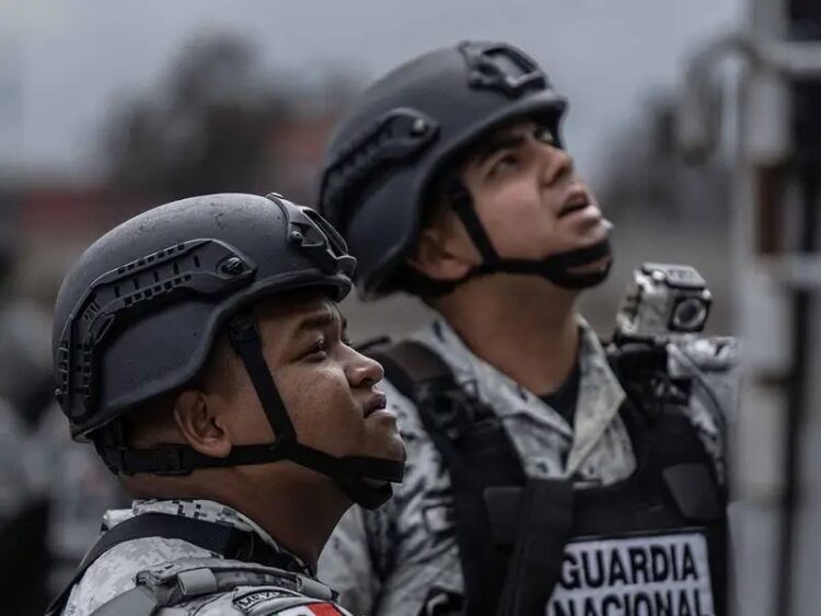 Operación Frontera Norte supera 29 toneladas de drogas aseguradas