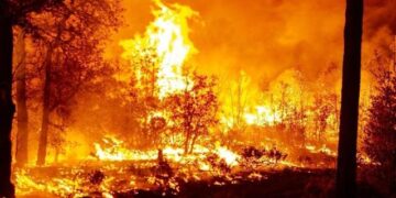 Hay 114 incendios activos en 23 estados; 38 mil hectáreas están afectadas: Protección Civil