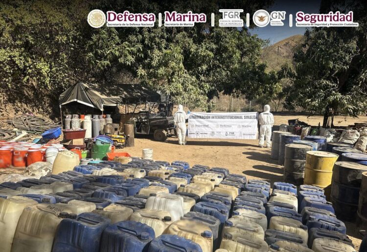 Semar desmantela 2 laboratorios clandestinos de drogas sintéticas en Durango