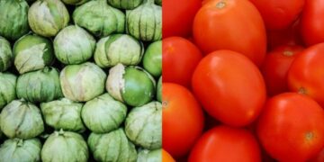 Agricultura aclara que el 20.91% de cuota a tomate no es parte de aranceles de Trump