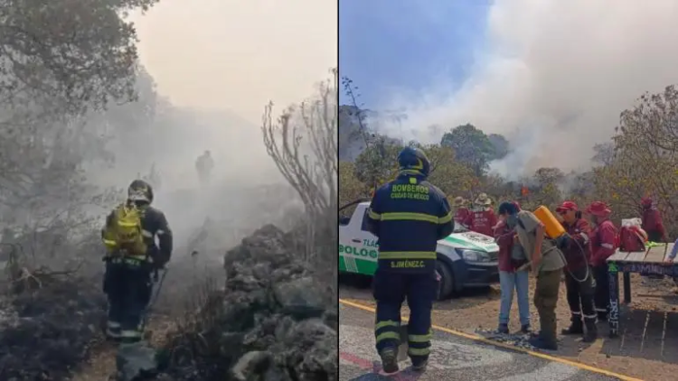Controlan incendio en el Parque Ecológico de la CDMX, en Tlalpan