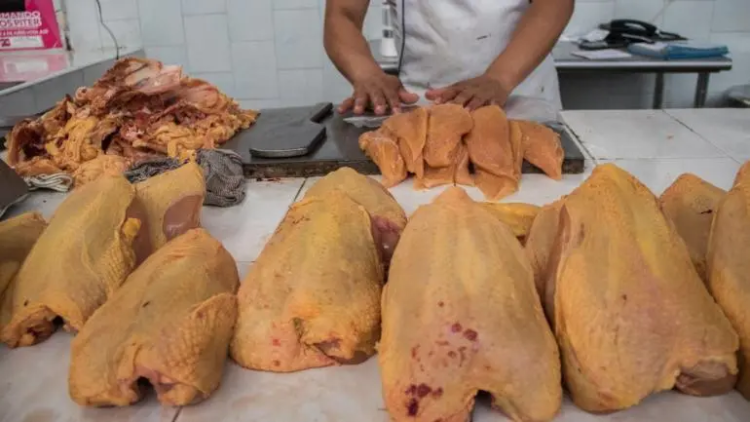 Comer pollo o huevo no representa peligro de contagio de influenza aviar: Ssa
