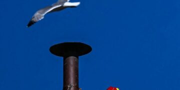 Colocan en la Capilla Sixtina la chimenea de la fumata para el cónclave