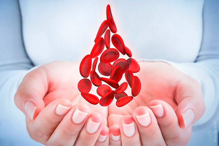 7 de cada 10 personas que viven con hemofilia no han sido diagnosticados