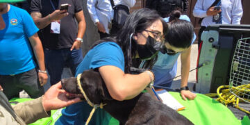 En Toluca, defendemos a los lomitos: Ricardo Moreno