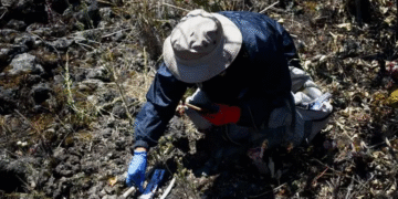 Califica SRE de ‘inaceptable’ el señalamiento de la ONU sobre desapariciones sistemáticas