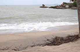 Cancelan alerta por tsunami en México tras sismo de magnitud 8.8 en Rusia