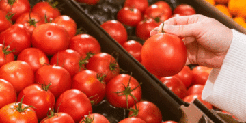 “Mientras se negocia arancel del 17% al jitomate, hay que pagarlo”: Ebrard