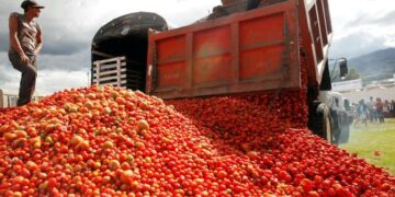 México tiene hasta el 15 de julio para evitar arancel del 20.91% al jitomate mexicano en EE. UU.