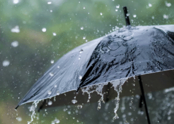 Desplazamiento de la onda tropical núm. 12 deja lluvias en varios estados