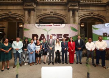 Anuncia Gobierno de la Ciudad programa “Raíces del Futuro” para reforestar y reverdecer el municipio