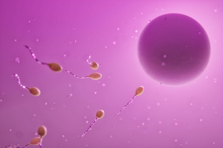 47 años de Fecundación In Vitro, actualmente 4 mil nacimientos al año en México. El arte de disfrutar con estilo y sentido.