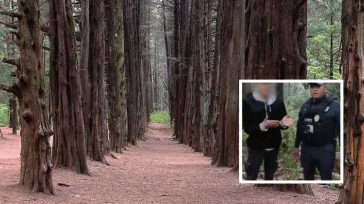 Encuentran sano y salvo a menor extraviado en el bosque El Ocotal, Cuajimalpa