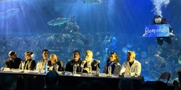 Tiburones sin miedo: el Acuario Inbursa lanza exposición para cambiar la percepción de estos gigantes del mar