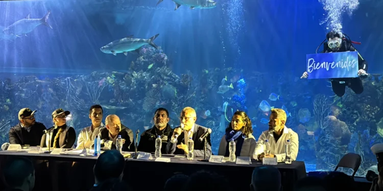 Tiburones sin miedo: el Acuario Inbursa lanza exposición para cambiar la percepción de estos gigantes del mar