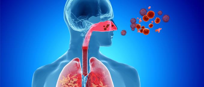 Innovación en el manejo de enfermedades respiratorias: inmunización y educación médica continua como ejes de transformación