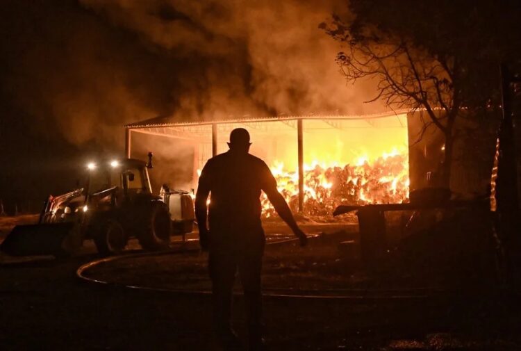 Tres nuevos incendios forestales en Grecia obligan a evacuar a unas 1.300 personas