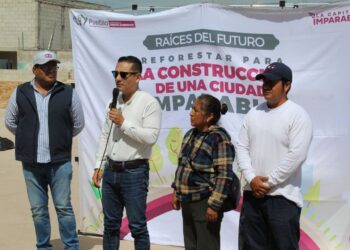 Consolida Gobierno de la Ciudad reforestación con más de 1,200 árboles en la capital a través de Raíces del Futuro