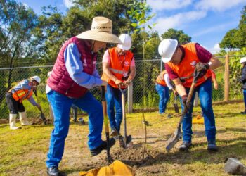 Gobierno de la Ciudad realiza acciones de producción de composta para reforestación en Puebla