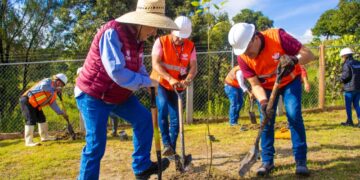 Gobierno de la Ciudad realiza acciones de producción de composta para reforestación en Puebla