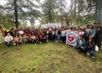 Impulsa Gobierno de Pepe Chedraui jornada de reforestación y arborización