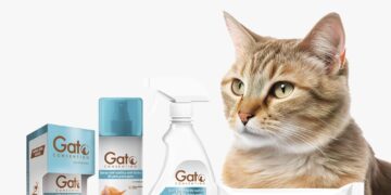 ¡Día Internacional del Gato! Celébralo creando una rutina de cuidado e higiene para tu michi