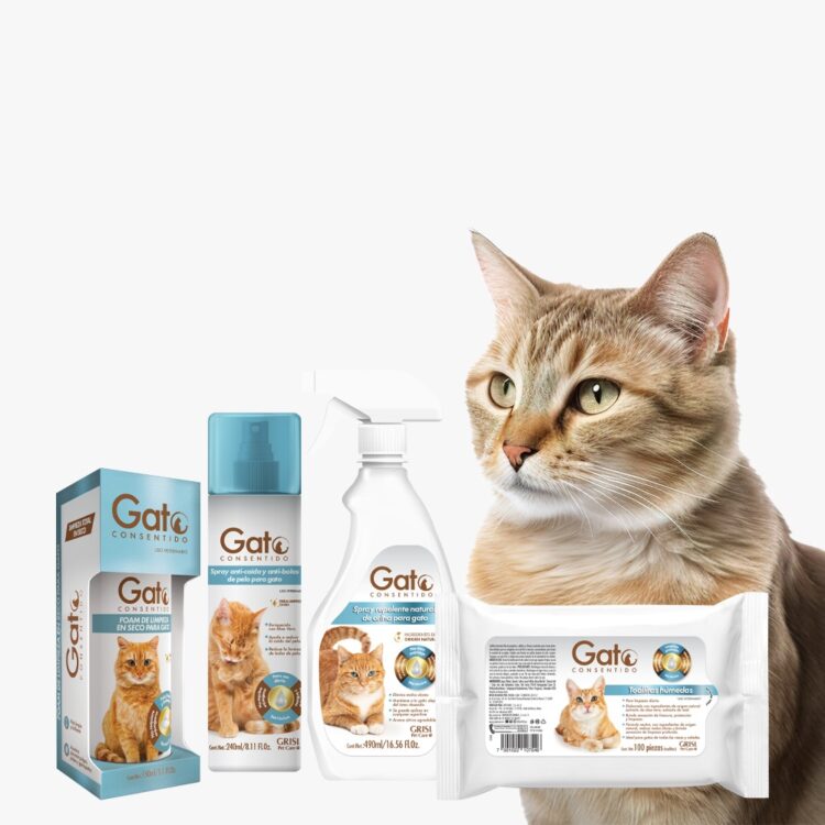 ¡Día Internacional del Gato! Celébralo creando una rutina de cuidado e higiene para tu michi