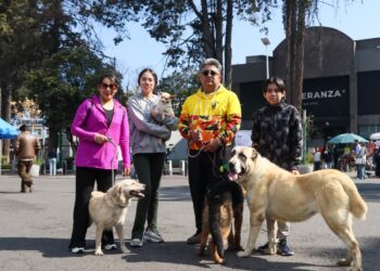 Ampliará Toluca su tradicional paseo dominical hasta Ciudad Universitaria