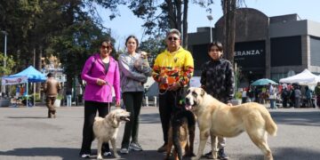 Ampliará Toluca su tradicional paseo dominical hasta Ciudad Universitaria