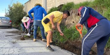 Toluca se Pone Guapa, el programa que gana terreno e inspira a otras ciudades