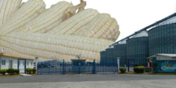 Aldo Micheletti con Millfoods dejó deuda, impunidad y trabajadores sin pago en Salamanca