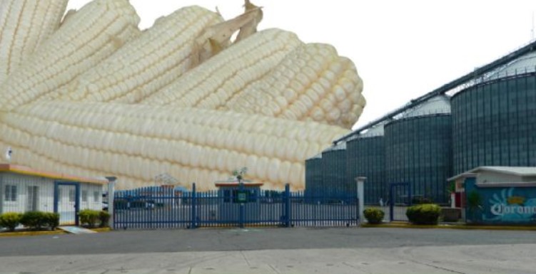 Aldo Micheletti con Millfoods dejó deuda, impunidad y trabajadores sin pago en Salamanca