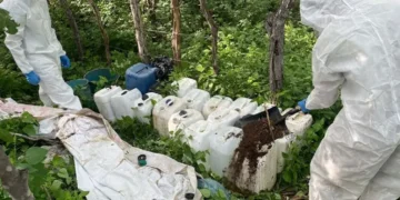 Ejército destruye un laboratorio clandestino en Michoacán