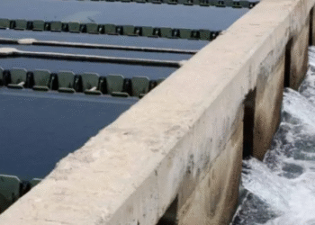 Lluvias aumentan almacenamiento del Cutzamala; se garantiza agua para todo el año