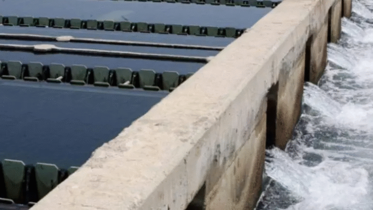 Lluvias aumentan almacenamiento del Cutzamala; se garantiza agua para todo el año