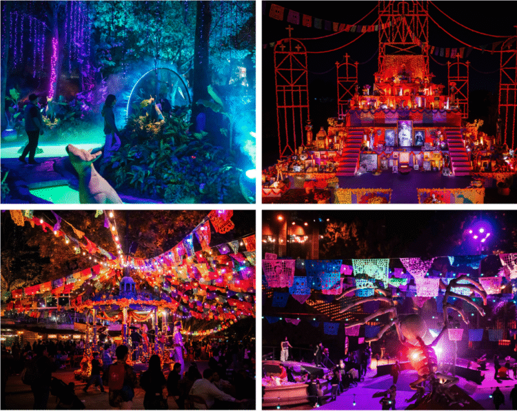 CALAVERANDIA 2025: La cuenta regresiva para la gran celebración ha comenzado