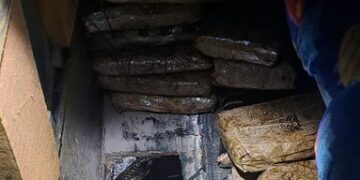 Gabinete de Seguridad detiene a dos personas con 50 kilos de heroína en Sonora