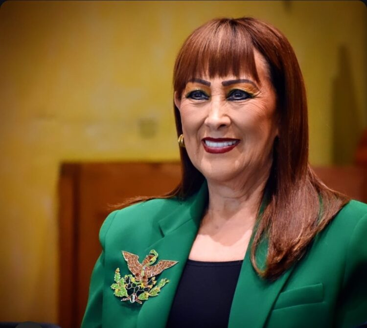 Experiencia judicial respalda candidatura de Celia Marín Sasaki