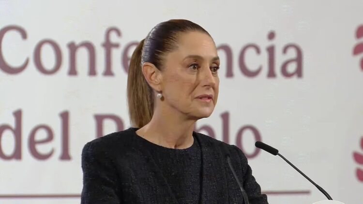 Sheinbaum pide a EU presentar pruebas contra diputada Hilda Brown