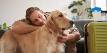 El Presidente InterContinental Puebla se sitúa como una opción pet friendly para los viajeros con mascota