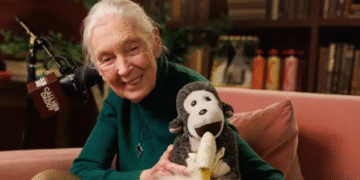 Fallece Jane Goodall, etóloga británica pionera en el estudio de los chimpancés