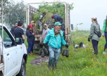Planta Toluca más de 112 mil árboles en este año