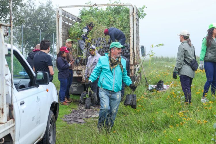 Planta Toluca más de 112 mil árboles en este año