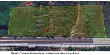 Presentan en la COP30 un modelo de convivencia entre humanos y cocodrilos para enfrentar el cambio climático en Michoacán