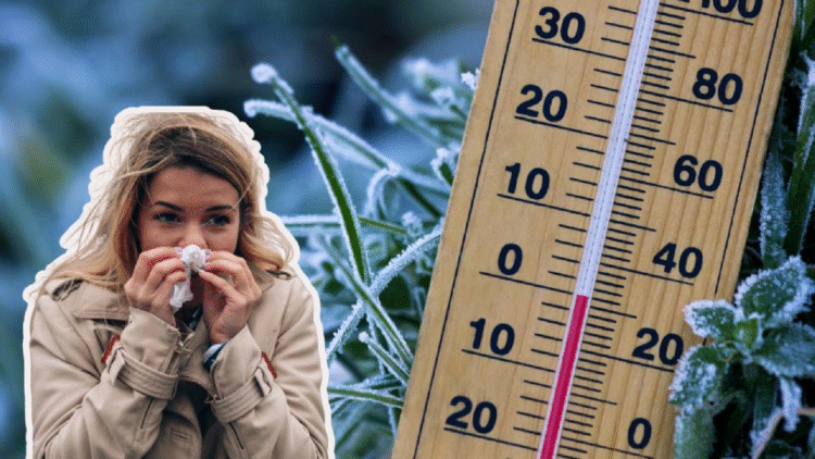 SMN alerta por heladas y bajas temperaturas ante frente frío 12